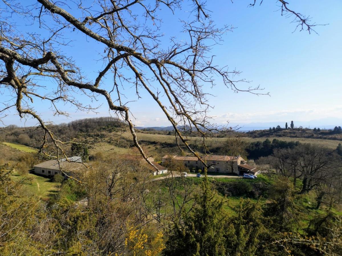 Terres De Barrejat Vila Cazals-des-Bayles Exterior foto