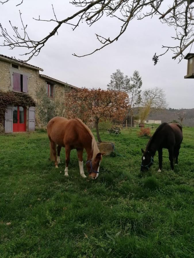 Terres De Barrejat Vila Cazals-des-Bayles Exterior foto